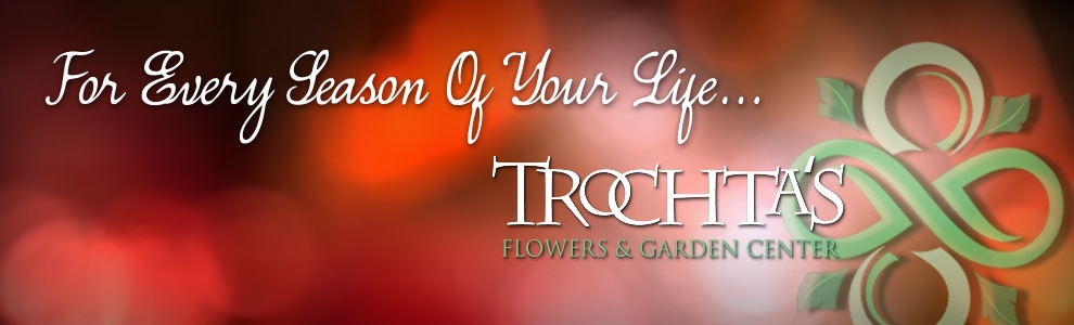 Flower Delivery to Oklahoma City by Trochta's