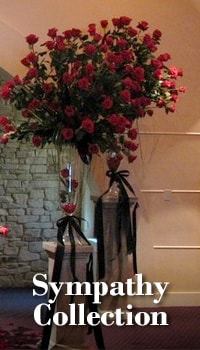 Visit Trochta's Sympathy for our sympathy collection