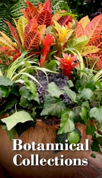 Beautiful Seasonal Flowers Banner