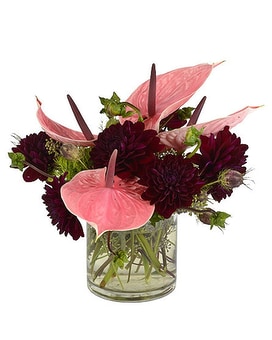 Anthurium Vase Arrangement Flower Arrangement